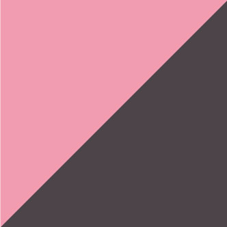 Naambordje voordeur Willems Zwart Roze